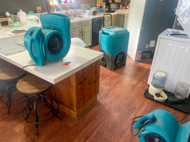 Best Carpet water damage restoration  in Keeseville, NY