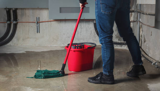 Best Professional water damage repair  in Keeseville, NY