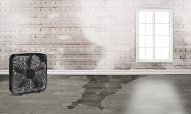 Best Water damage cleanup near me  in Keeseville, NY