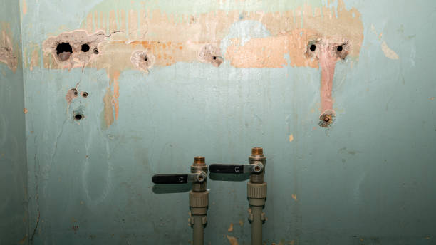 Best Flooded house restoration  in Keeseville, NY