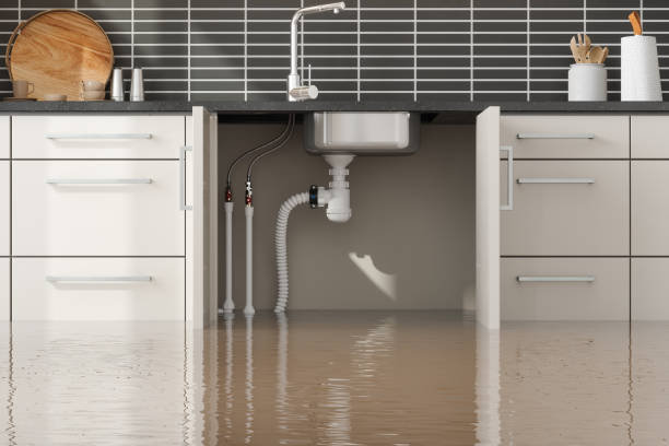 Best Mold removal after water damage  in Keeseville, NY