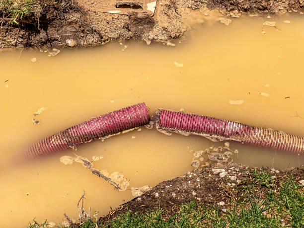  Keeseville, NY Water damage restoration Pros